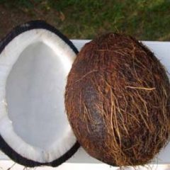 Coconut