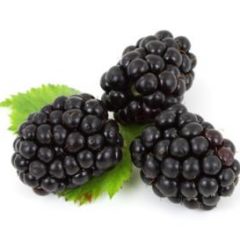 Blackberry