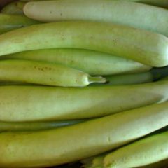 Bottle gourd