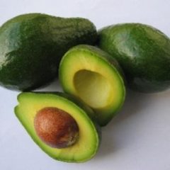 Avocado