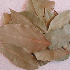 Bay leaf