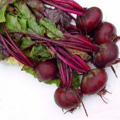 Beetroot