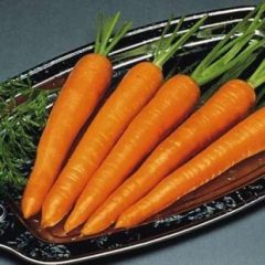 Carrot