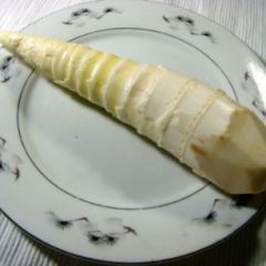 Bamboo shoot