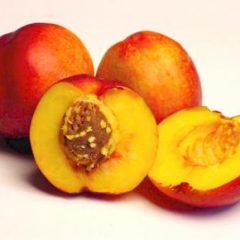 Nectarine