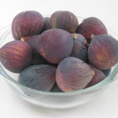 Fig