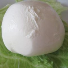 Mozzarella cheese