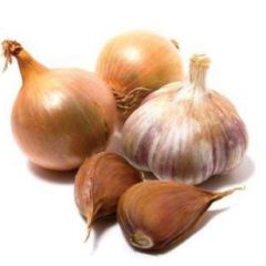 Origin of Onion & Garlic