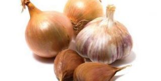 Origin of Onion & Garlic