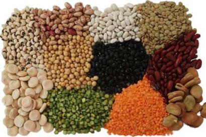 Bean
