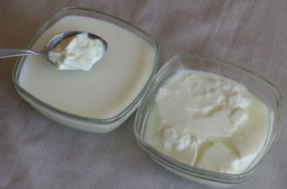 Homemade Yogurt