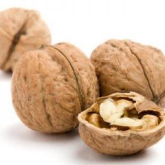 Walnut