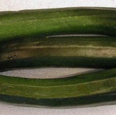 Zucchini