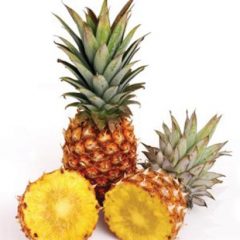 Pineapple