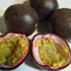 Passion fruit